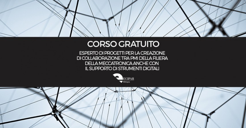 Esperto di progetti per la creazione di reti di collaborazione