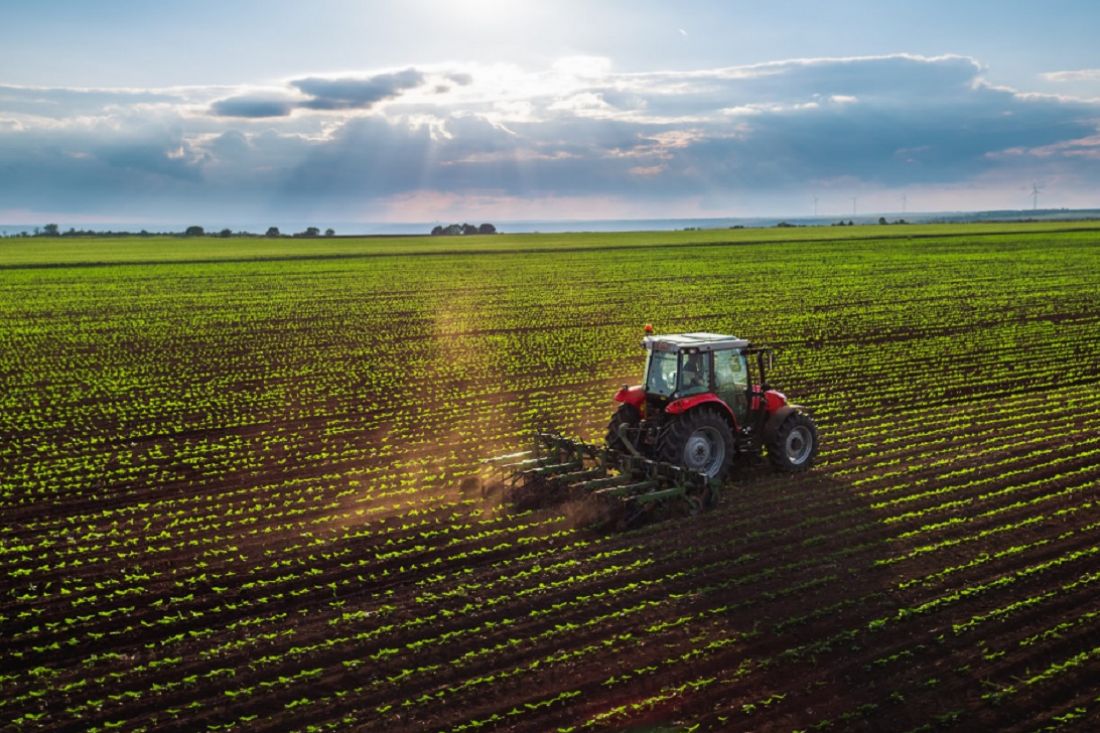 Imprese della filiera agroalimentare