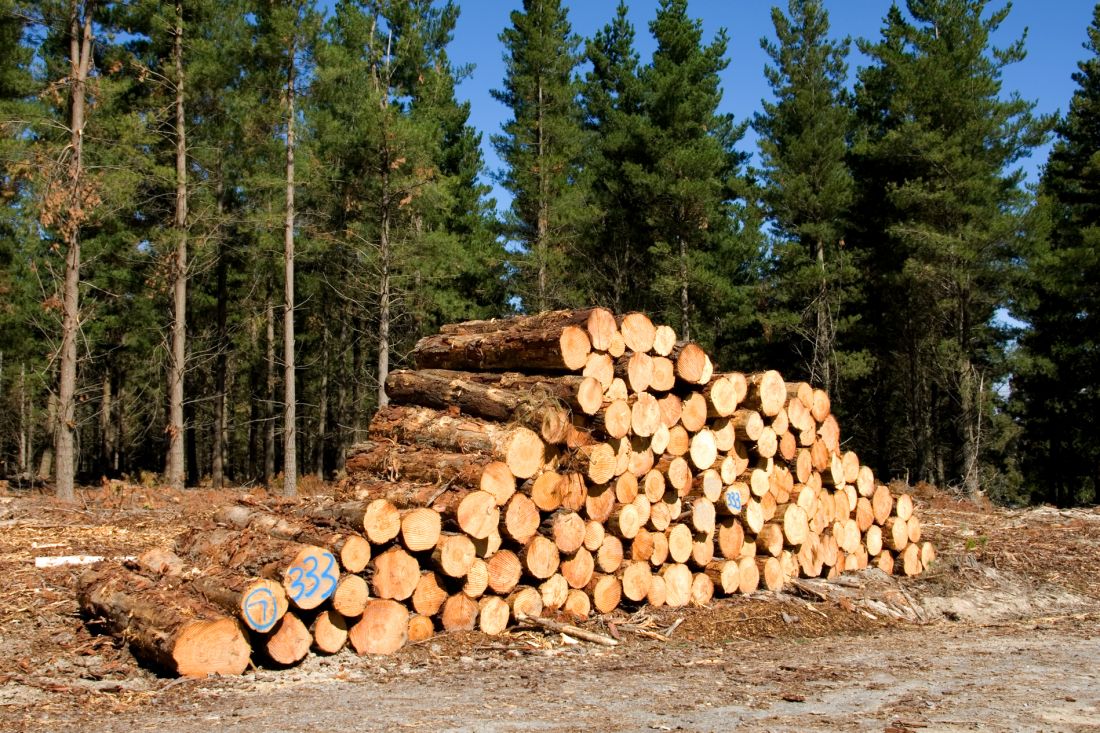 Opportunità per certificazioni FSC e PEFC