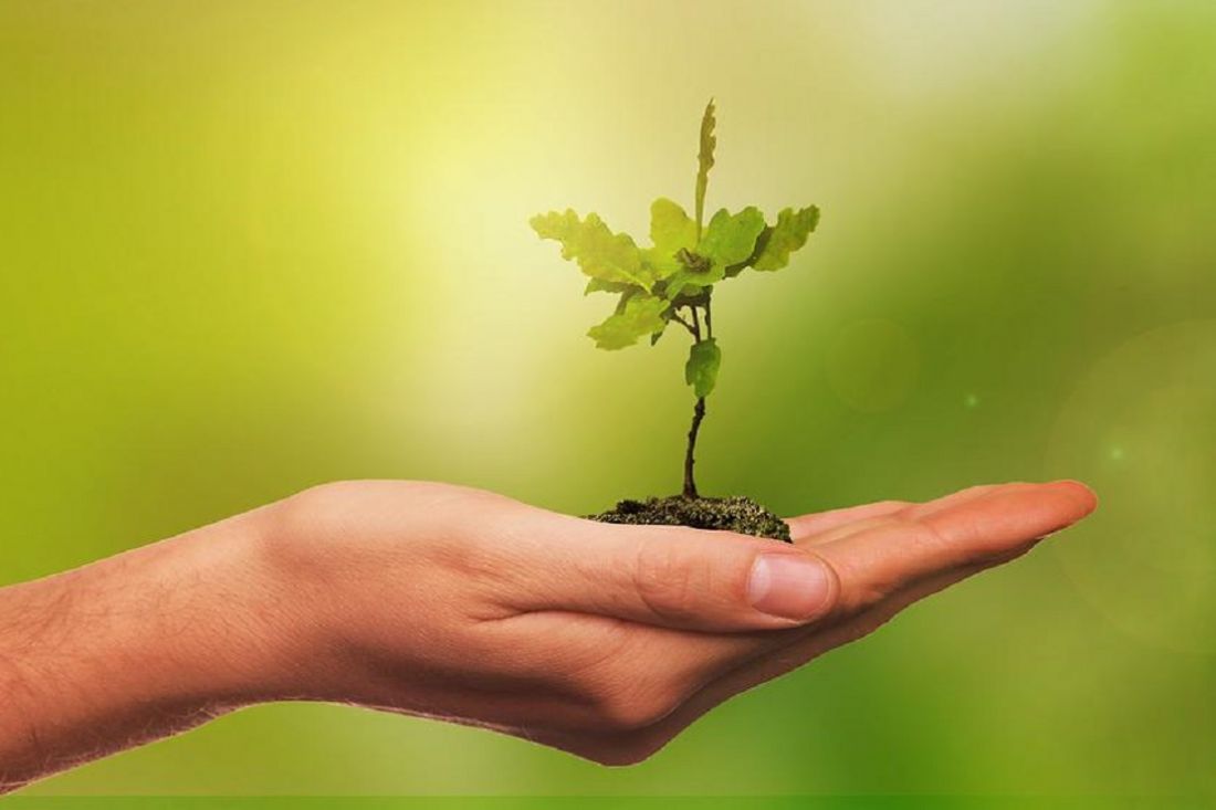 PICCOLE IMPRESE E VALUTAZIONI DI SOSTENIBILITÀ