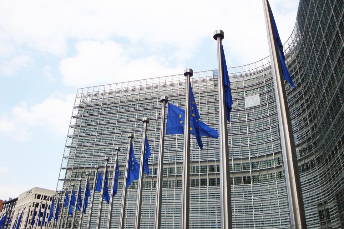 Soia OGM: la Decisione della Commissione UE di immissione in commercio
