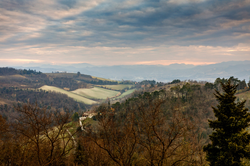 Webinar sui bandi GAL Appennino Bolognese Programmazione 2023-2027